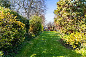 Photo 55- click for photo gallery